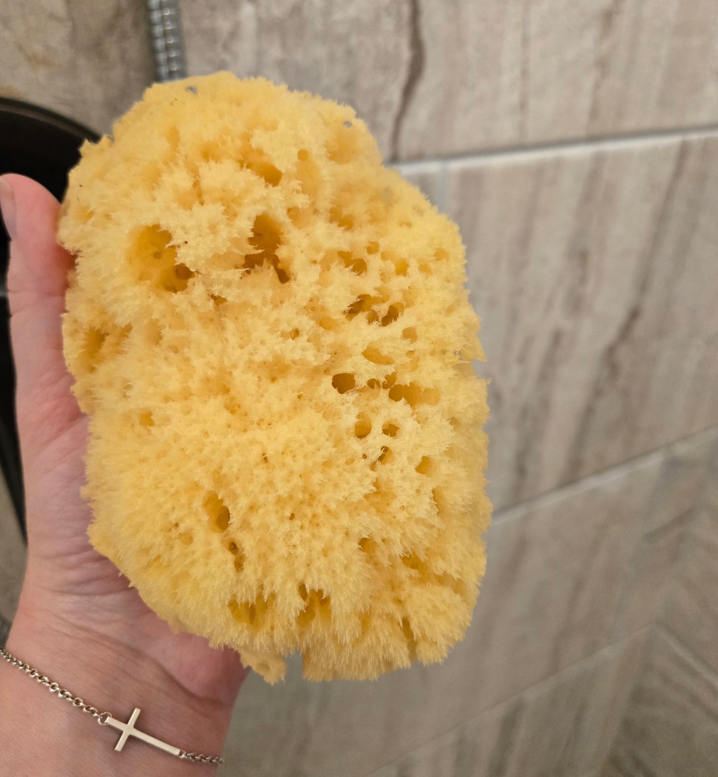Yellow Sea Sponge